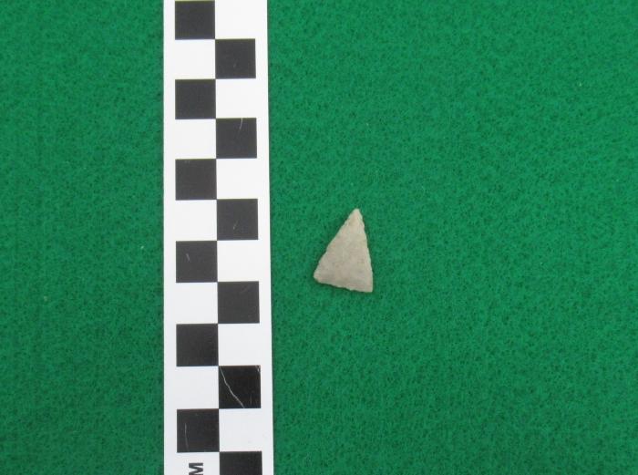 Projectile Point