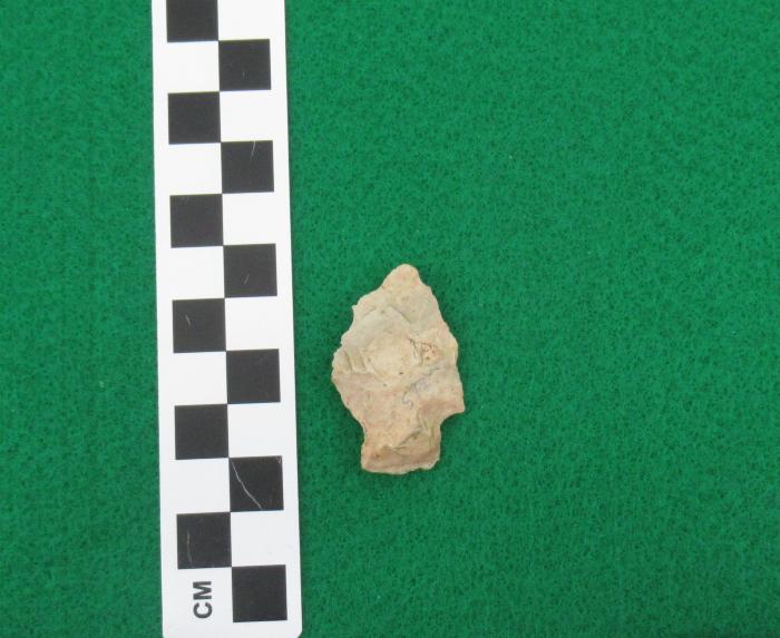 Projectile Point