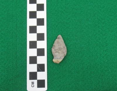 Projectile Point
