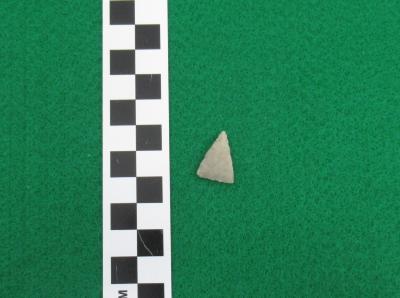 Projectile Point