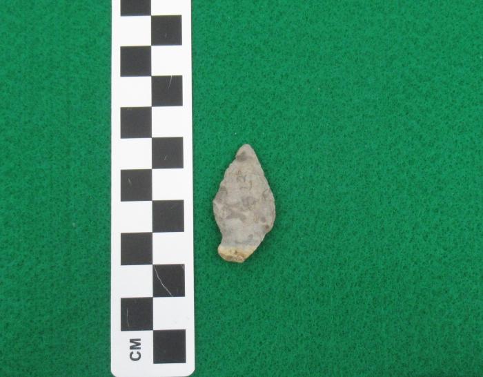 Projectile Point