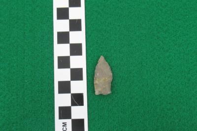 Projectile Point
