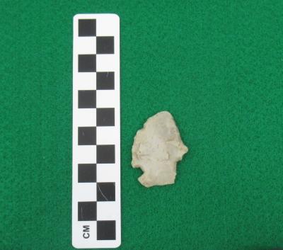 Projectile Point