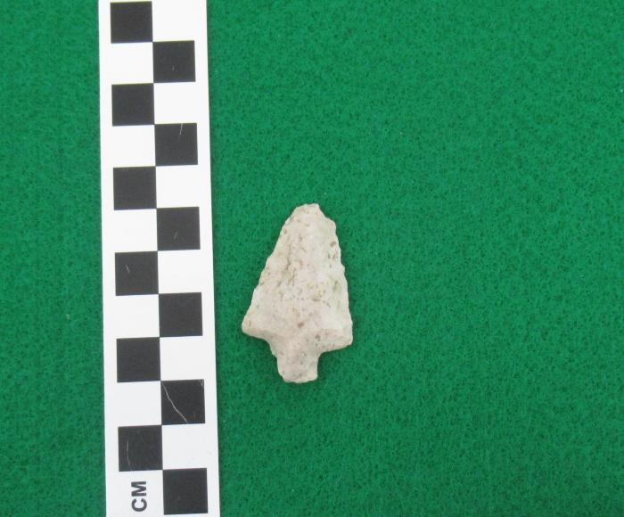 Projectile Point