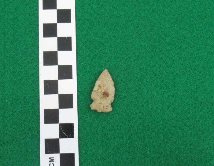Projectile Point