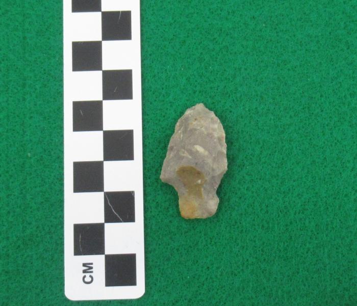 Projectile Point