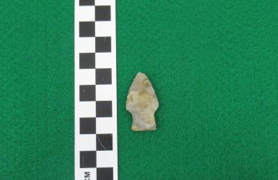 Projectile Point