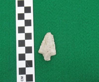 Projectile Point