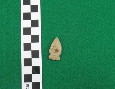 Projectile Point