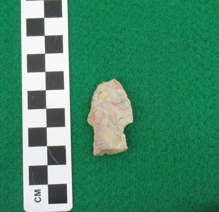 Projectile Point