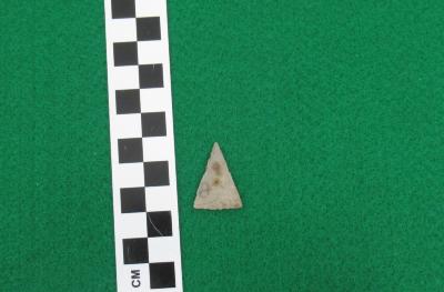 Projectile Point