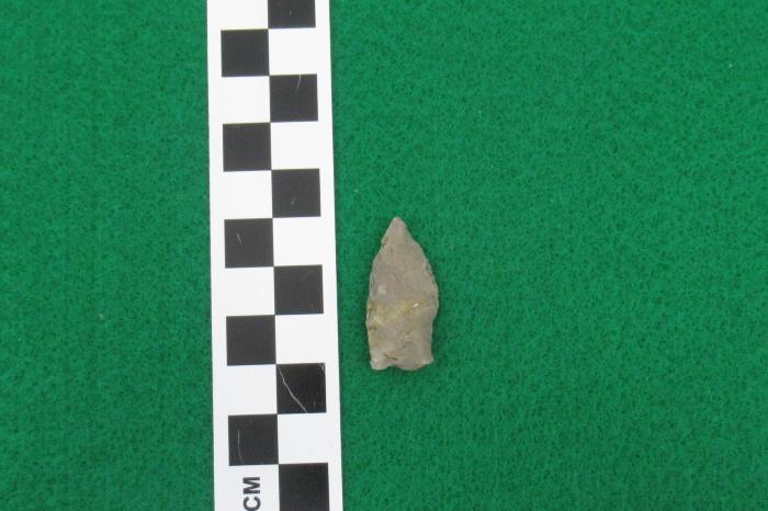 Projectile Point