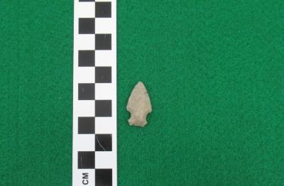 Projectile Point