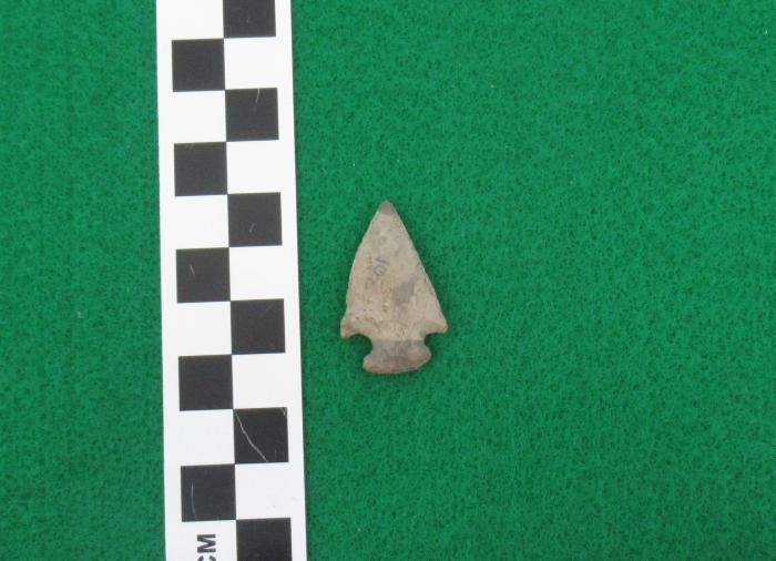 Projectile Point