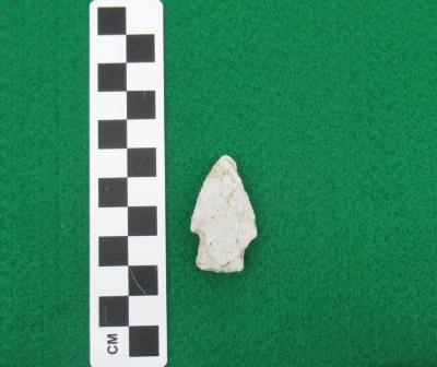 Projectile Point