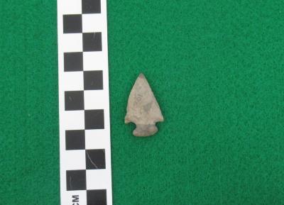 Projectile Point