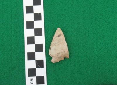 Projectile Point