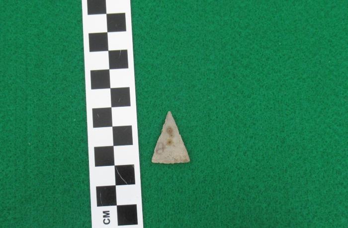 Projectile Point