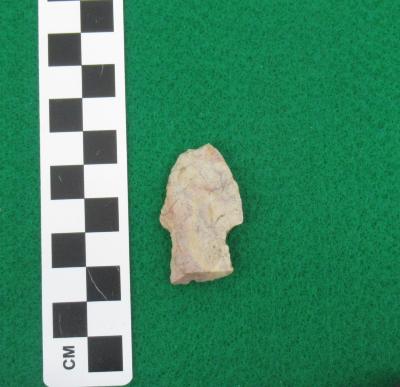 Projectile Point