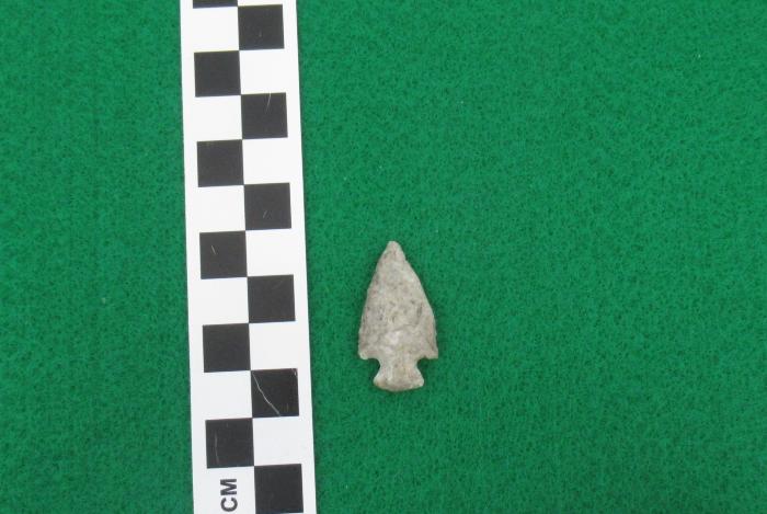 Projectile Point