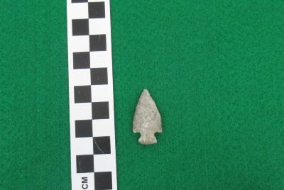 Projectile Point