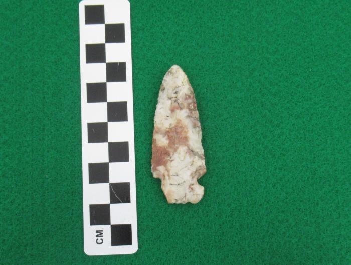 Projectile Point
