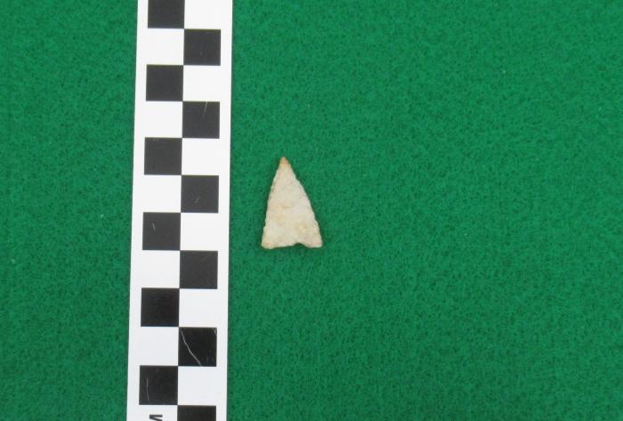 Projectile Point