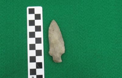 Projectile Point