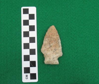 Projectile Point
