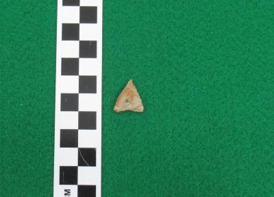 Projectile Point