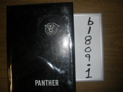 1961 Panther