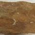 Worked Stone Block Remnant