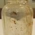 Clear Round Glass Jug