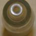 Clear Round Glass Bottle