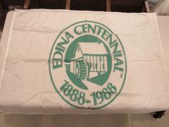 Edina Centennial Flag