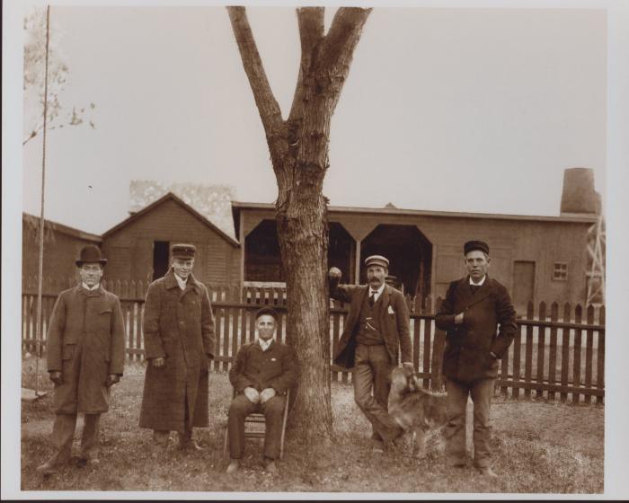 Print, Photographic