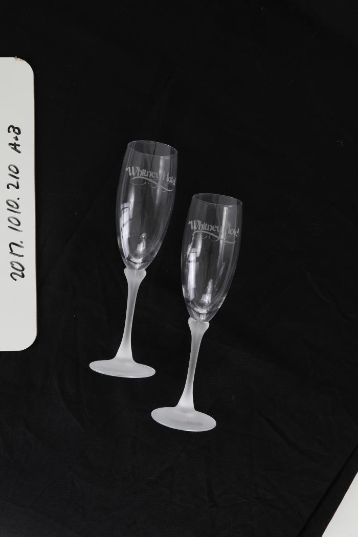 Wine Glass