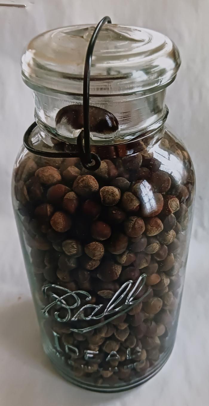 Jar, Preserving