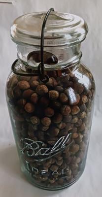 Jar, Preserving