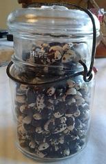 Jar, Preserving