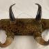Upholstered Bison and Cow Horn Wall Hook