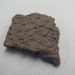 Stone Hide Scraper