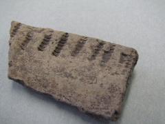 Plains Village potsherds