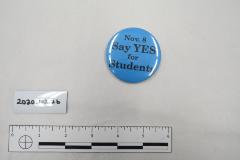 School Vote Yes Button November 8th