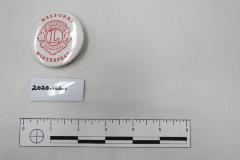 Lions Winterfest Button 