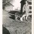 Mary Weber on Centerville Farm