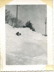 Donald Weber in Snow Pile