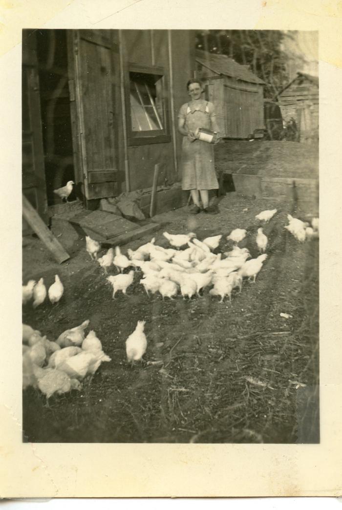 Mary Weber Feeding Chickens
