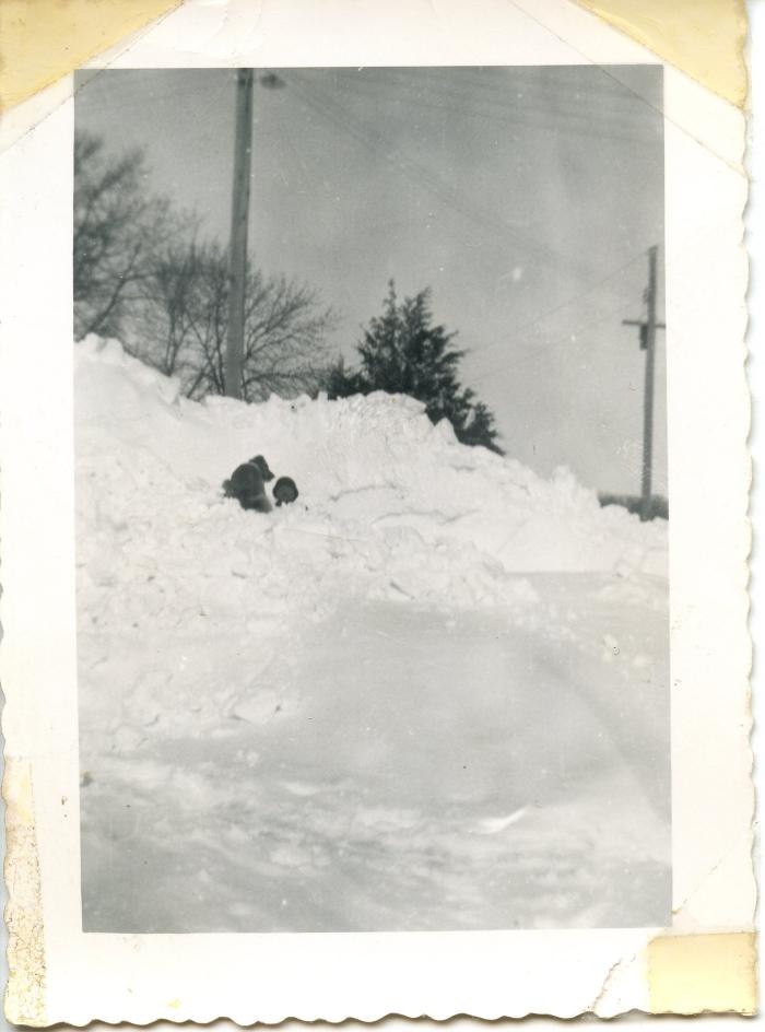 Donald Weber in Snow Pile