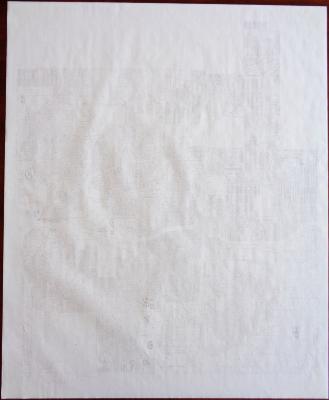 Plat map of Edina.